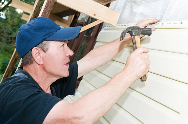 Best Insulated Siding Installation  in Springville, IA