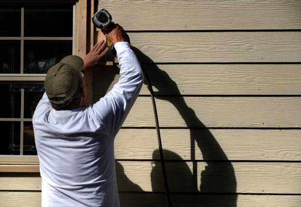 Affordable Siding Repair and Maintenance Services in Springville, IA