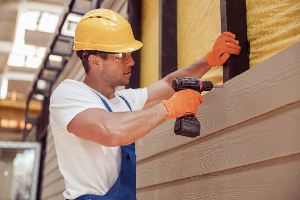 Best Fascia and Soffit Installation  in Springville, IA